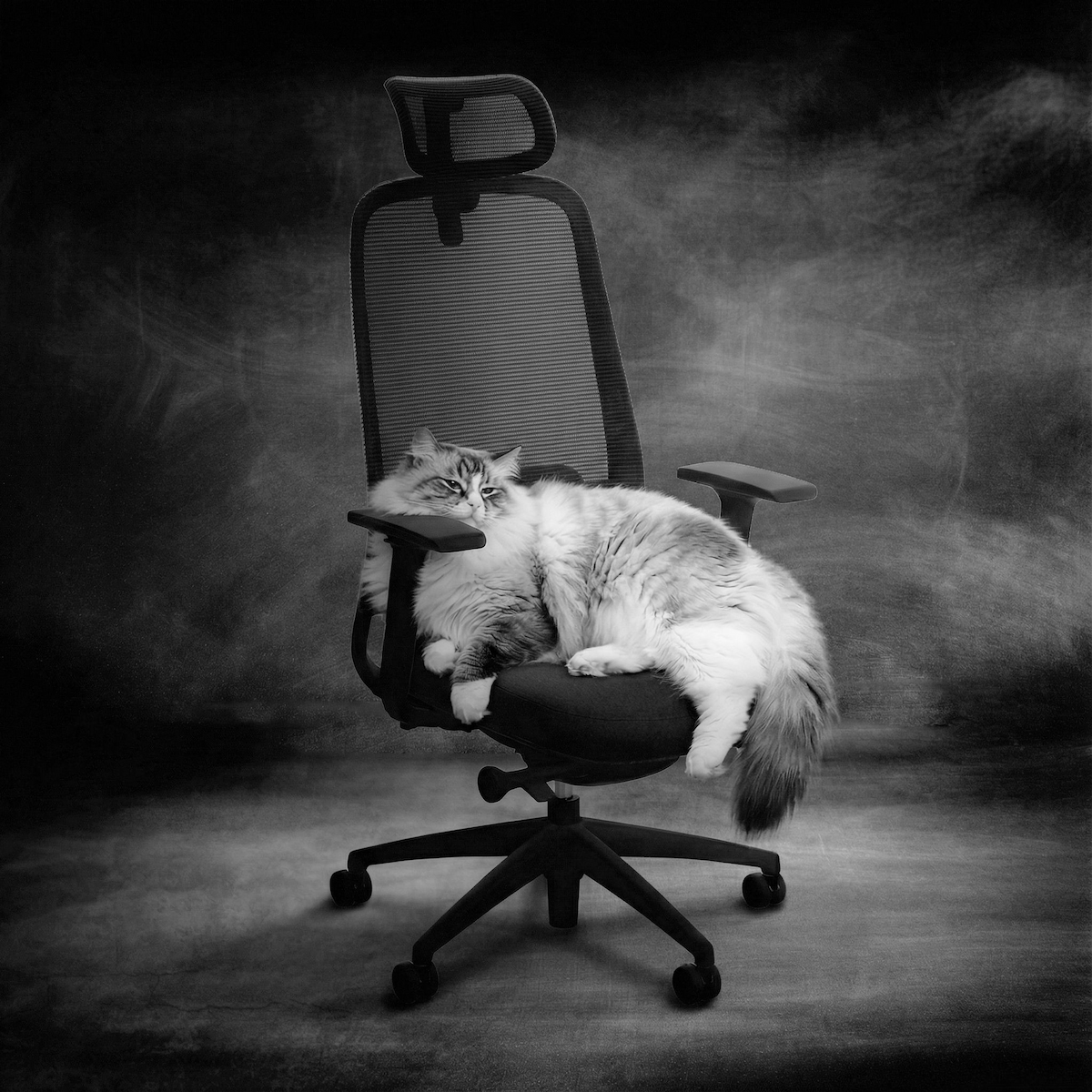 Łatwe w czyszczeniu siatki oparcia zapewniające komfort termiczny