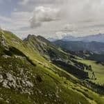 Aleksandra Jankowska